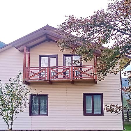 Apartamento Гірська Роса Verkhniy Yasenov Exterior foto